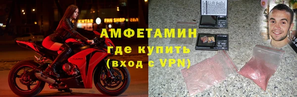 шишки Алзамай