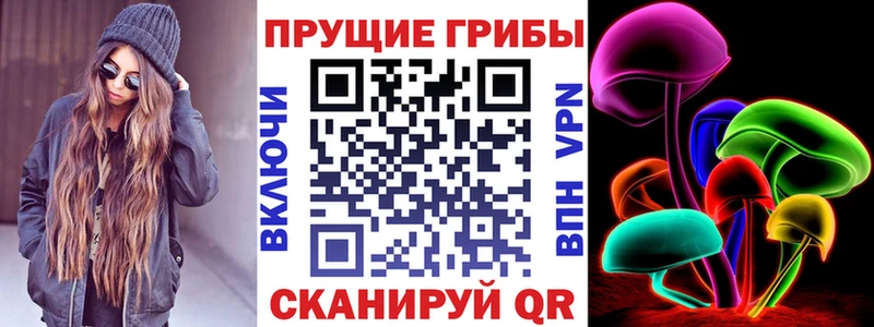 Псилоцибиновые грибы MAGIC MUSHROOMS  кракен маркетплейс  Бобров 
